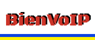 Bienvoip